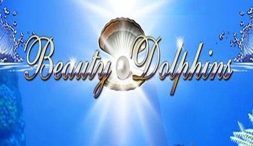 BeautyDolphinsMN