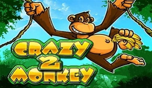 CrazyMonkey2IG